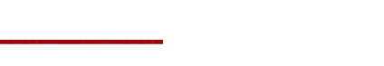 logo SinTSE